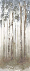 Woods